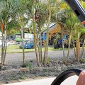 Karibik-Dominikanische-Republik_Buggy-Tour_Macao-Beach_2021-12-26_68