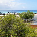2013-11-27_DSC06342