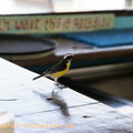 2013-11-27_DSC6377