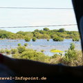 2013-11-29_DSC06526
