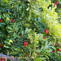 2013-12-05_DSC06817