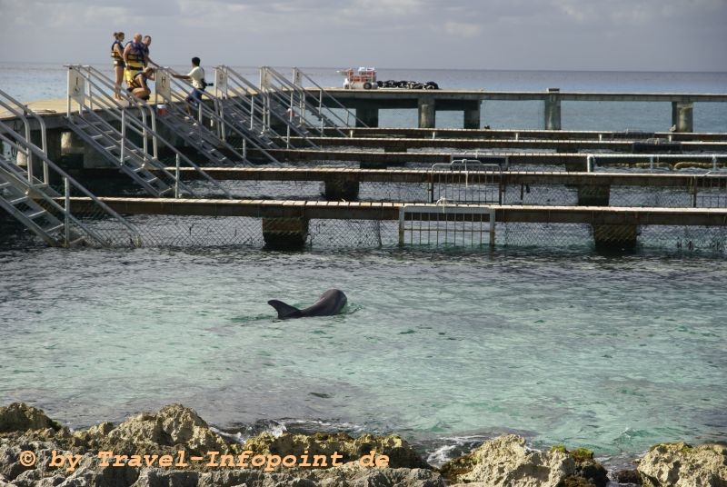 Cozumel / Karibik