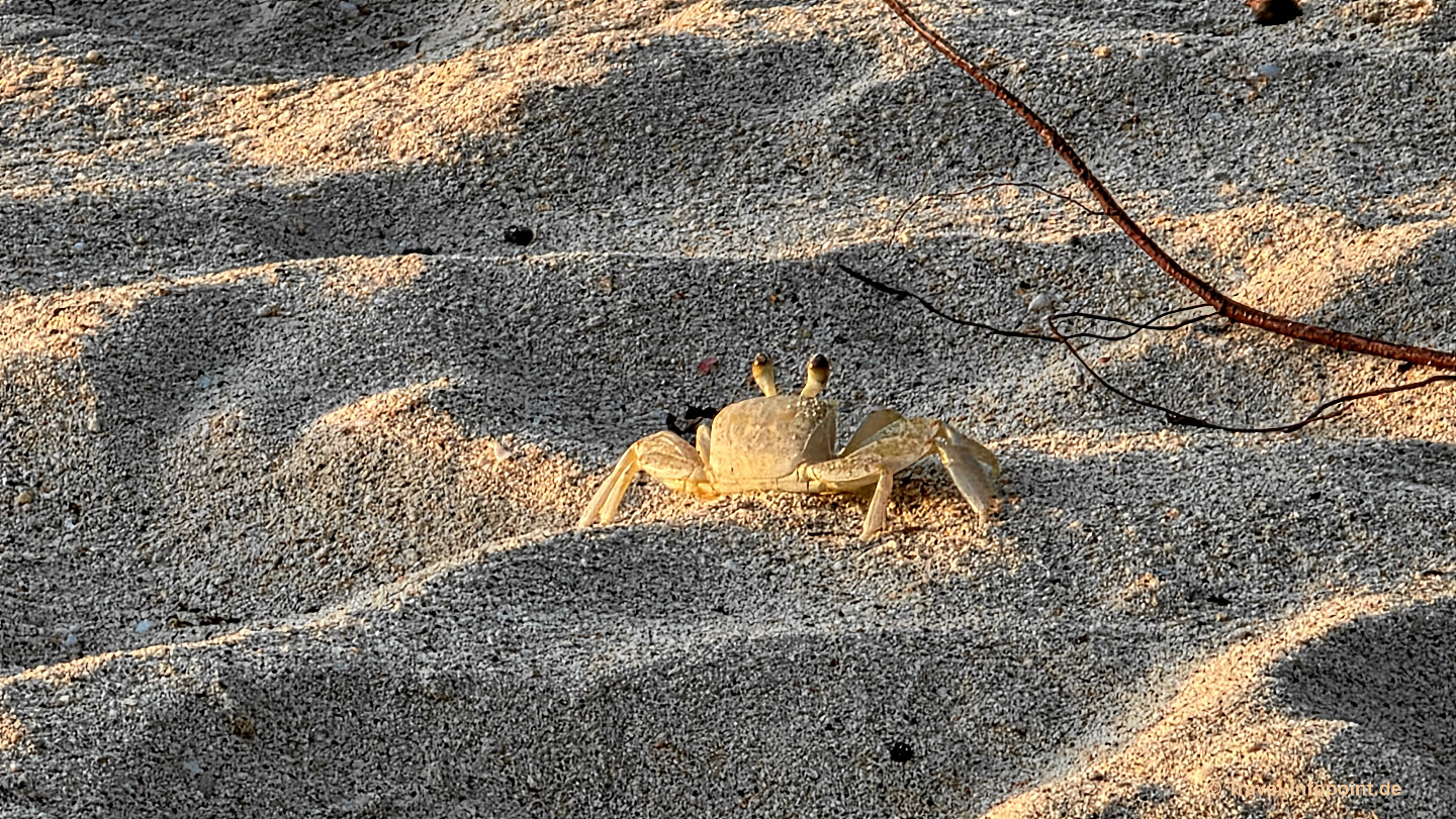 Grand Anse Beach / Grenada