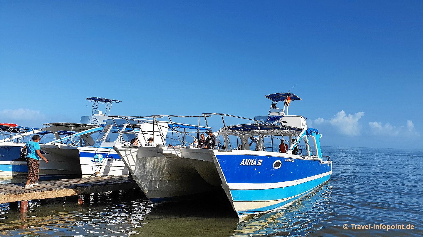 Hafen Las Canitas Motorkatamaran