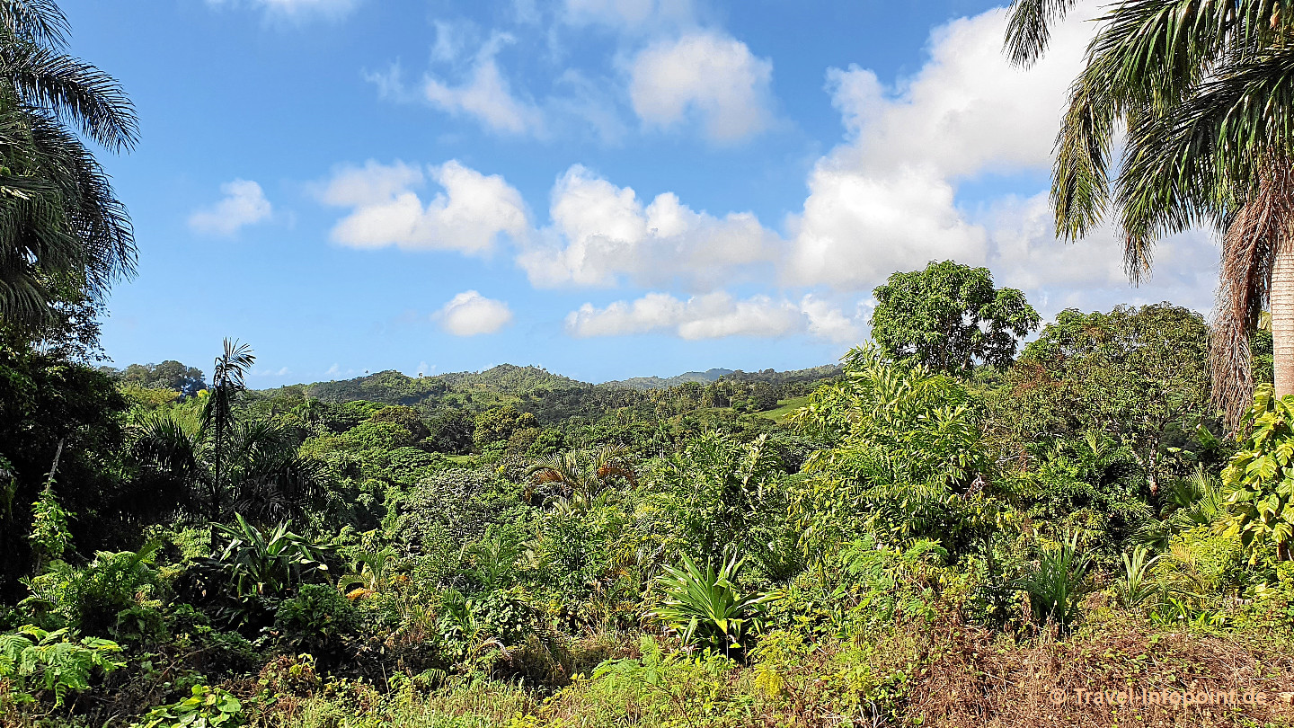 Samana Hinterland