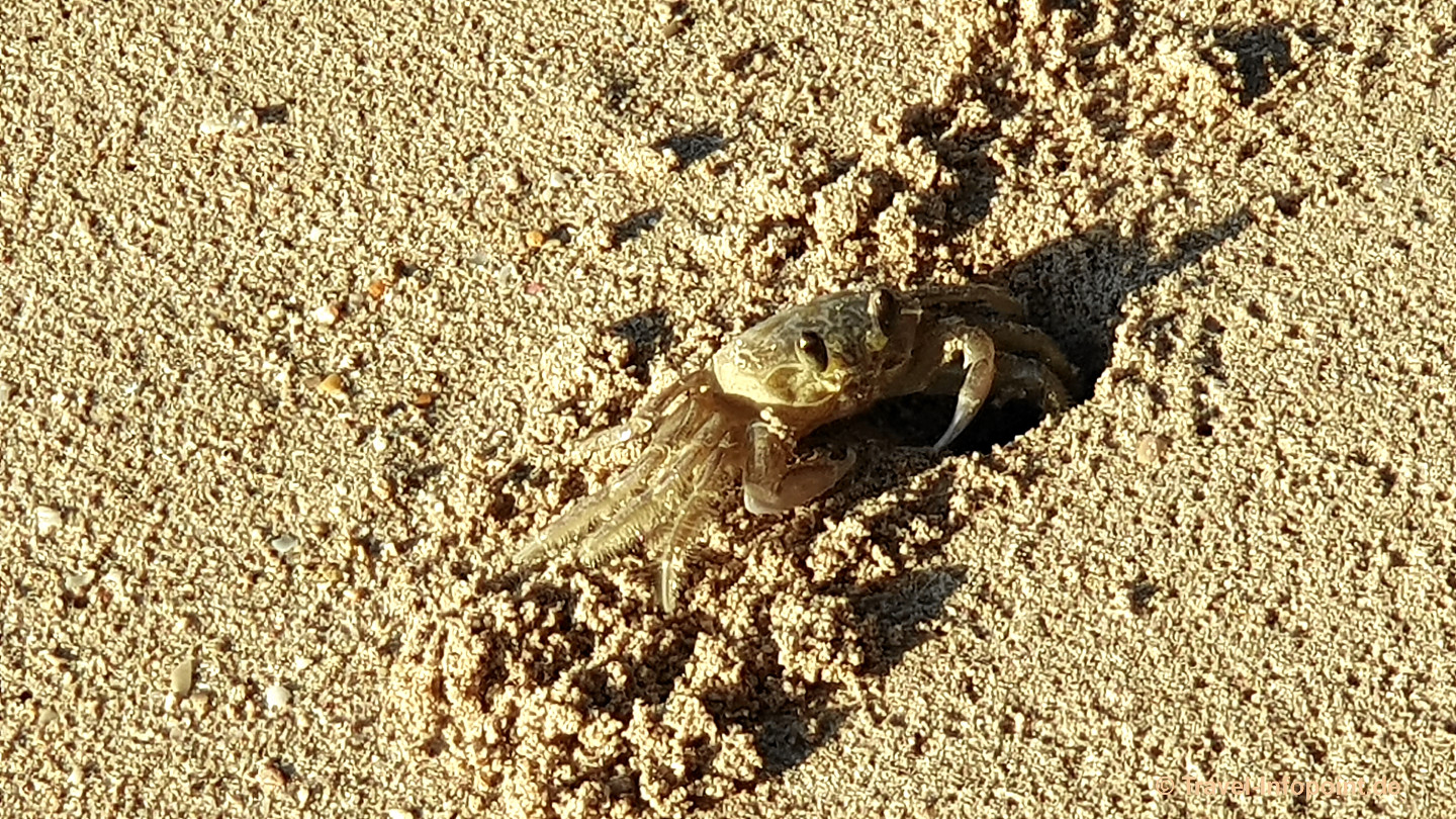 Bahia Principe Luxury Bouganville: Pool 2