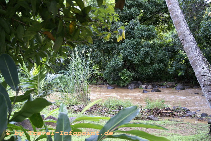 St. Lucia Regenwald