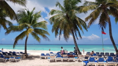 Saona