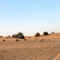 VAE_Dubai_desert-safari_2023-03-14_53