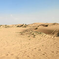 VAE_Dubai_desert-safari_2023-03-14_6