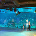 Katar-Doha_Night-City-Tour_Souq-Waqif_Katara_Pearl-Qatar_2024-11-30_9