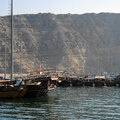 oman-khasab_dhau-fahrt_musandam_schnorcheln_delfinbeobachtung_2024-11-27_22