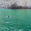 oman-khasab_dhau-fahrt_musandam_schnorcheln_delfinbeobachtung_2024-11-27_31