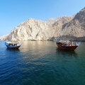 oman-khasab_dhau-fahrt_musandam_schnorcheln_delfinbeobachtung_2024-11-27_34