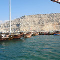 oman-khasab_dhau-fahrt_musandam_schnorcheln_delfinbeobachtung_2024-11-27_48