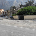 oman-khasab_dhau-fahrt_musandam_schnorcheln_delfinbeobachtung_2024-11-27_50