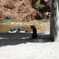 Oman_Muscat_Wadi-Shab_Wasserfall_Bimmah-Sinkhole_2024-11-28_44