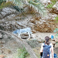 Oman_Muscat_Wadi-Shab_Wasserfall_Bimmah-Sinkhole_2024-11-28_79