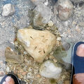 Oman_Muscat_Wadi-Shab_Wasserfall_Bimmah-Sinkhole_2024-11-28_89