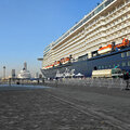 mein-schiff5_auf_orient-kreuzfahrt2_ab_dubai_2026-01-20_3