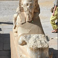Aegypten_Ausflug-Luxor_2026-09-28_169
