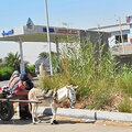 Aegypten_Ausflug-Luxor_2026-09-28_236