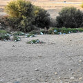 Aegypten_Ausflug-Luxor_2026-09-28_32