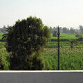 Aegypten_Ausflug-Luxor_2026-09-28_38