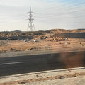 Aegypten_Ausflug-Luxor_2026-09-28_384