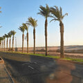 Aegypten_Ausflug-Luxor_2026-09-28_391