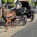 Aegypten_Ausflug-Luxor_2026-09-28_43