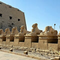Aegypten_Ausflug-Luxor_2026-09-28_63