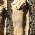 Aegypten_Ausflug-Luxor_2026-09-28_83