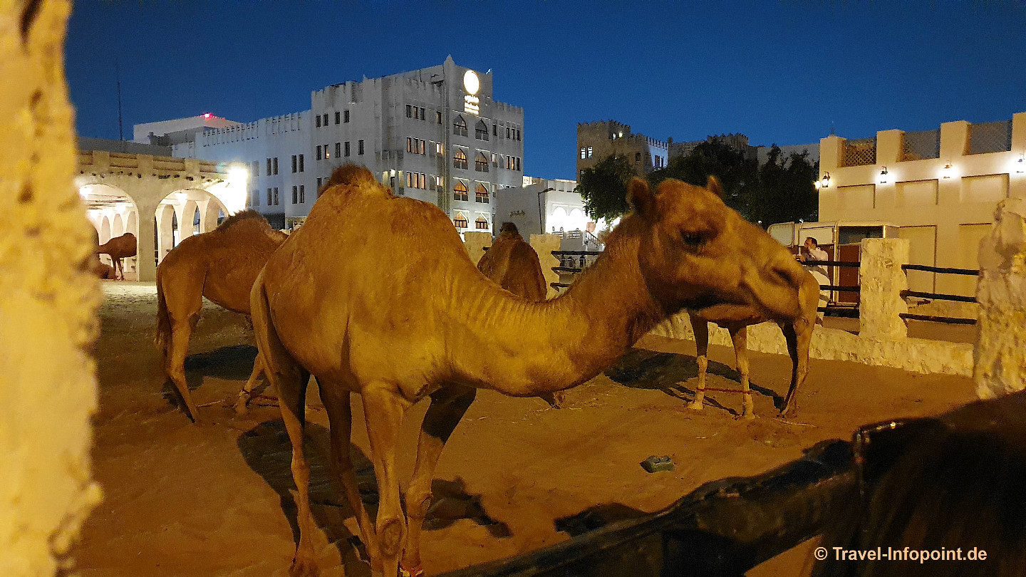 Katar / Doha: Night City Tour 12