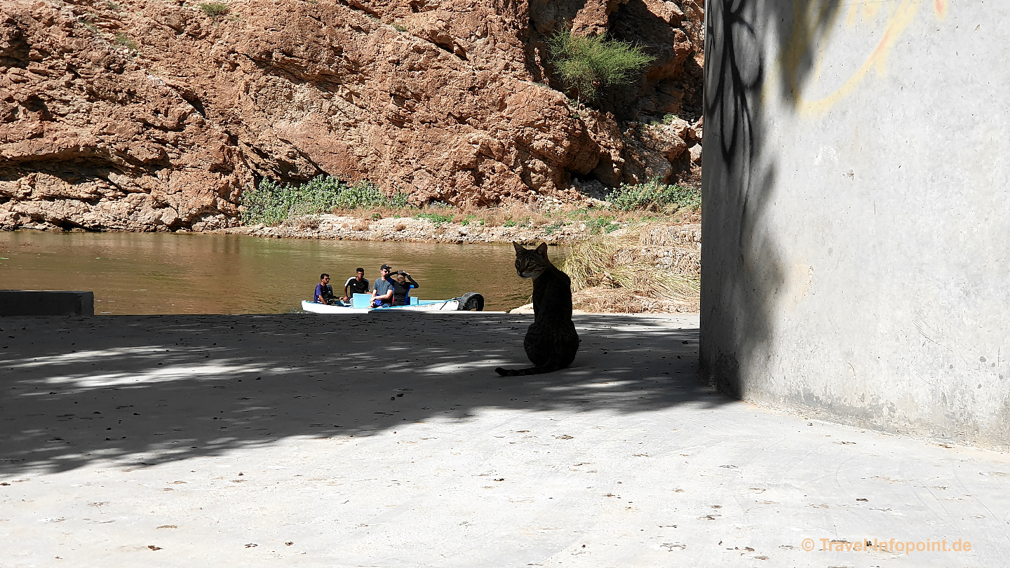 Oman / Muscat: Wadi Shab & Bimmah Sinkhole - Ausflug 14
