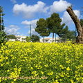 hotel_alvor_natur