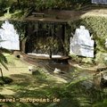 klicken zum Vergrößern: Monte