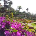 Botanischer Garten Funchal