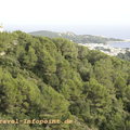 Mallorca-2009-12-29_DSC3326