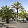 Mallorca-2009-12-30_DSC3356