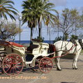 Mallorca-2010-01-03_DSC3484