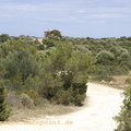 Mallorca-2012-05-20_DSC5244