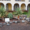 Teneriffa_Hotel-Bahia-Principe-Costa-Adeje_2019_06-107