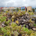 Teneriffa_Hotel-Bahia-Principe-Costa-Adeje_2019_06-118