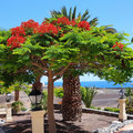 Teneriffa_Hotel-Bahia-Principe-Costa-Adeje_2019_06-71