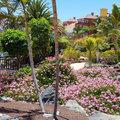 Teneriffa_Hotel-Bahia-Principe-Costa-Adeje_2019_06-90