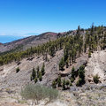 Teneriffa_Teide_2019_06-105