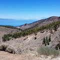 Teneriffa_Teide_2019_06-106
