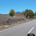 Klicken für mehr Infos: Tour zum Teide / Teneriffa