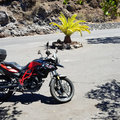 Klicken für mehr Infos: Tour zum Teide / Teneriffa